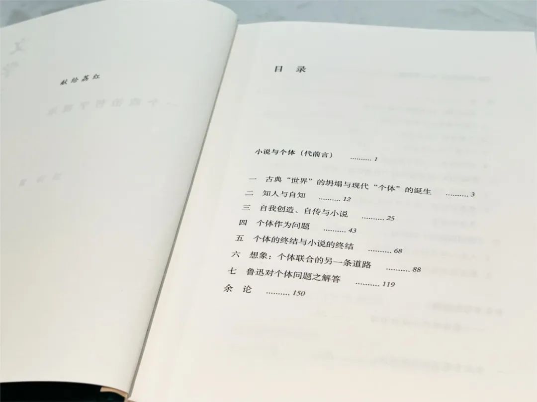 遁入小说的迷宫，寻找现代性的出口 | 洪涛《文学三篇》