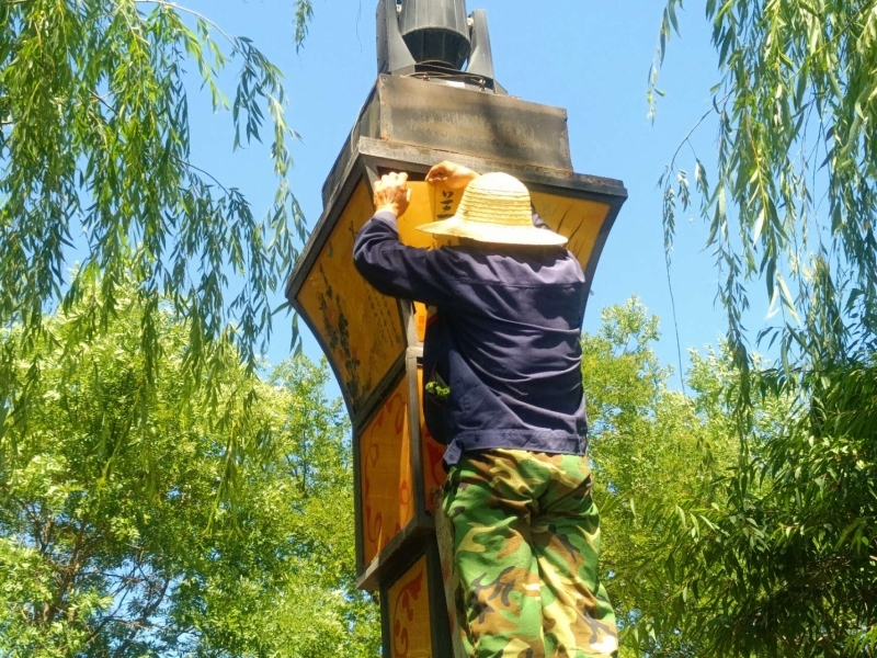 华亭莲花湖公园“改头换面”　群众幸福感原地升级