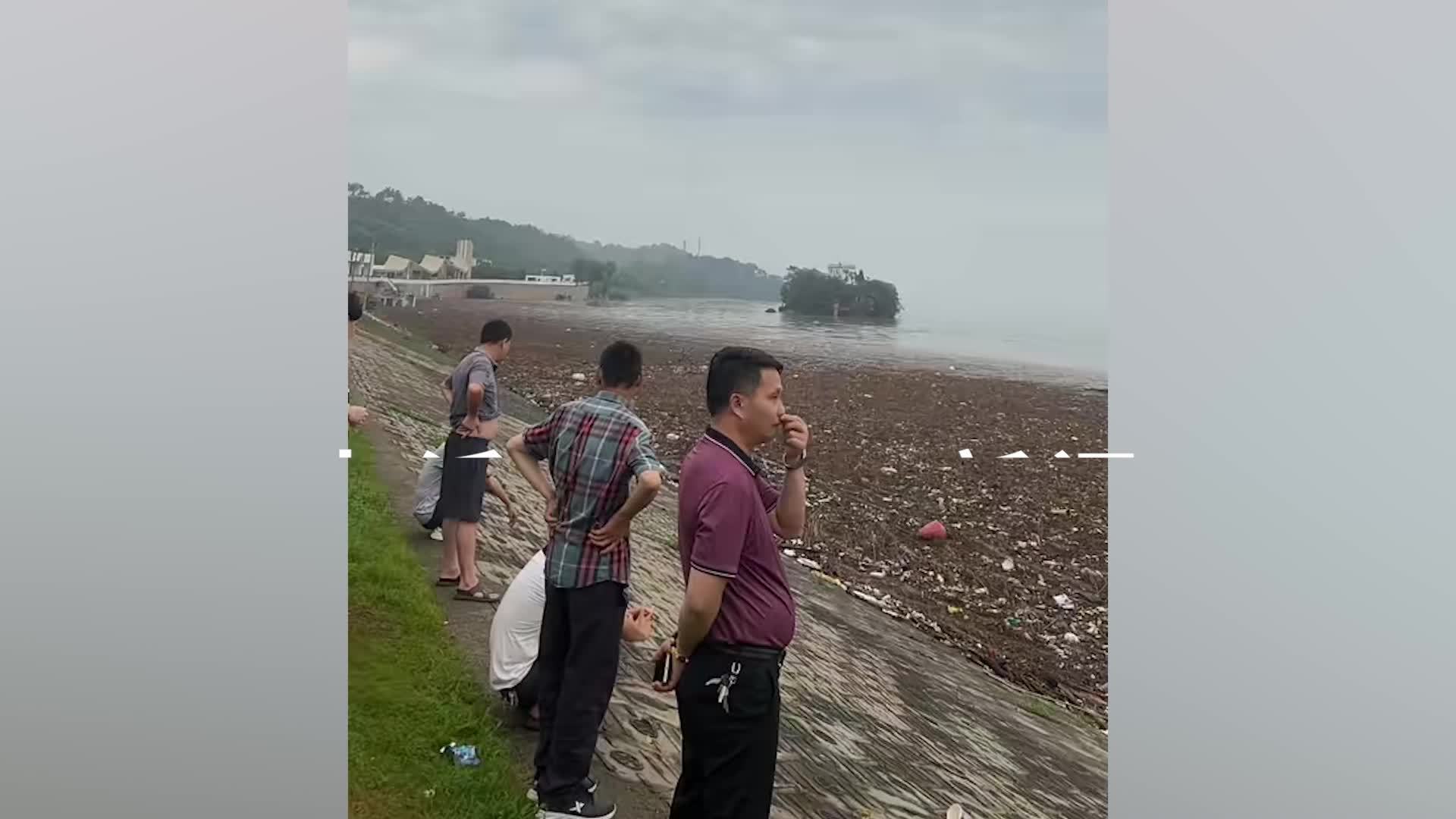 鄱阳湖部分湖面被垃圾填满，生态环境局：刮大风所致，雨势太大无法作业，雨停后会清理