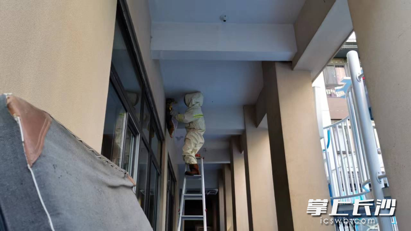 小区、幼儿园里惊现多个马蜂窝，消防及时摘除