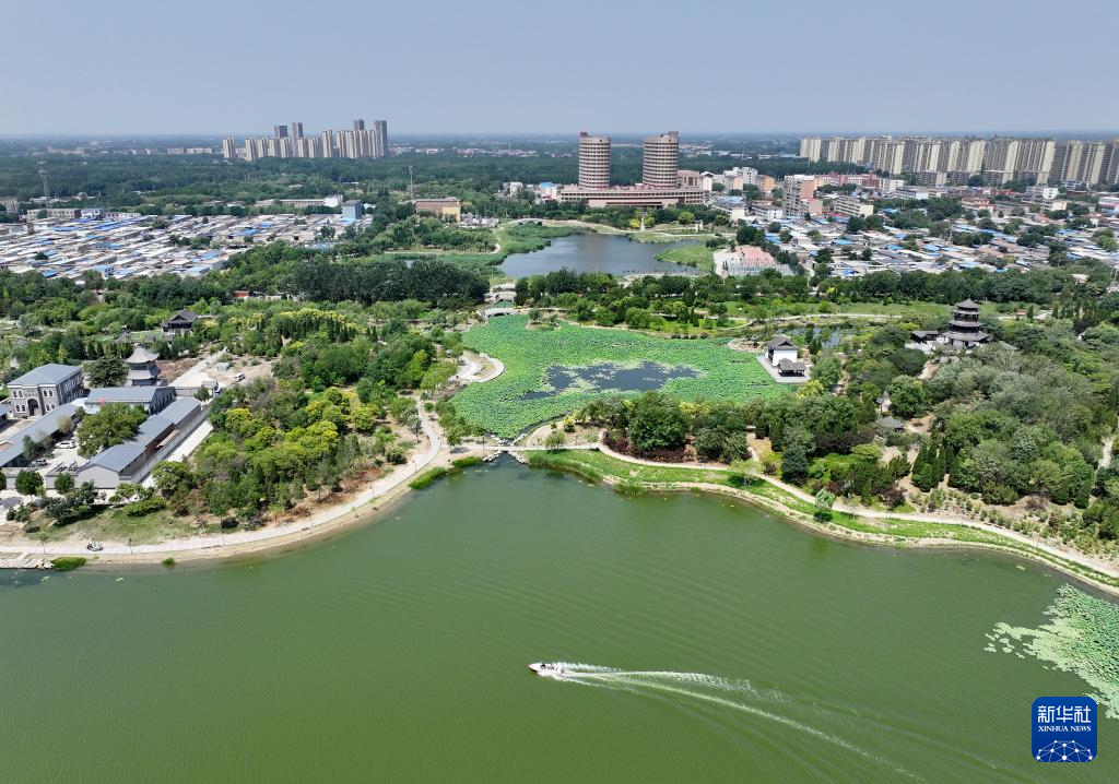 河北省河间市瀛洲公园景色（6月28日摄，无人机照片）。
