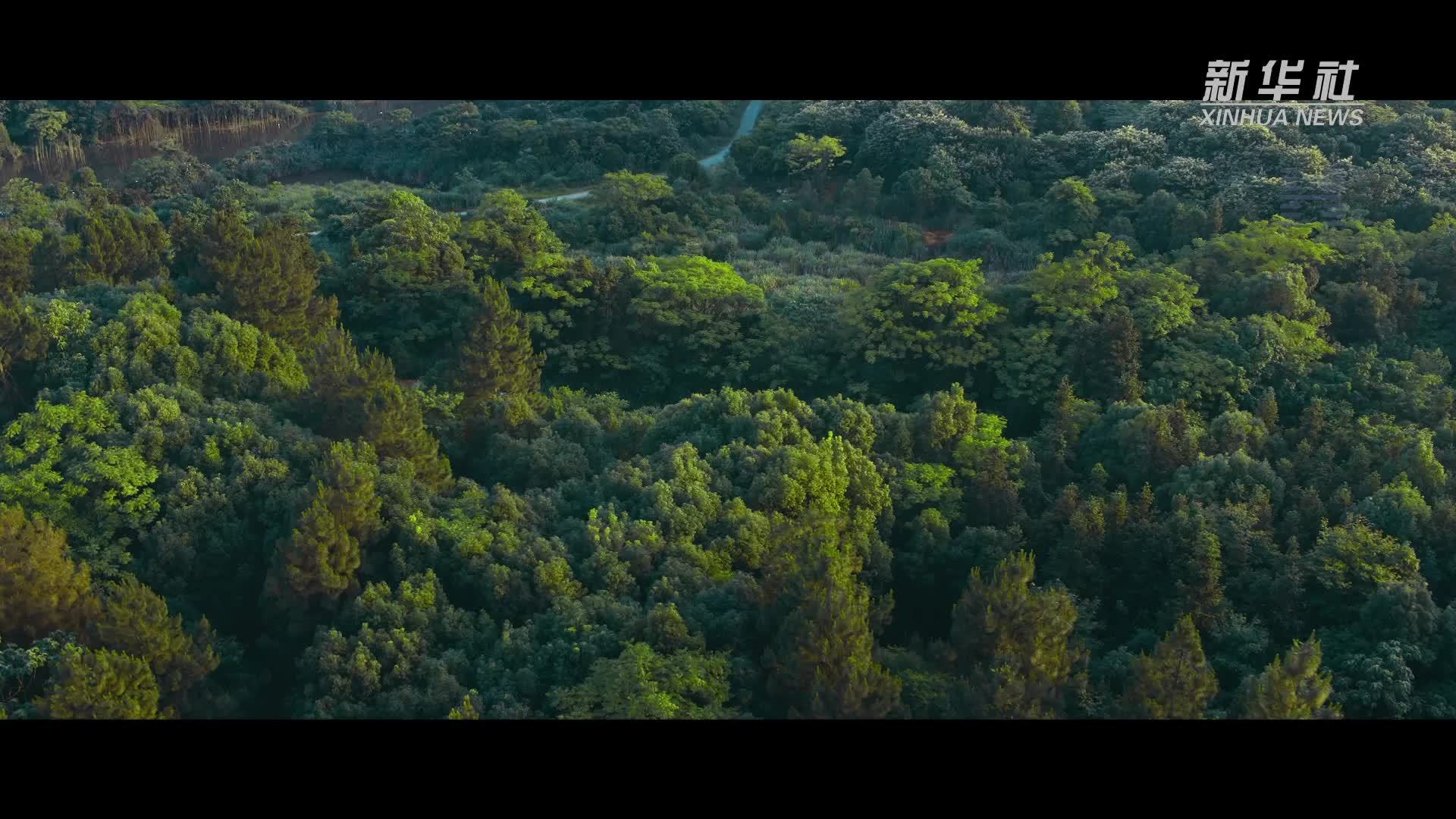 高质量发展调研行|江中药谷：智能制造引领绿色高质量发展