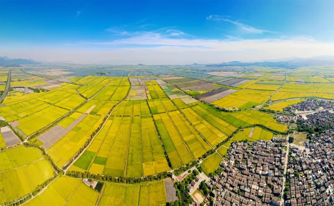 “广东第一田”台山中国农业公园