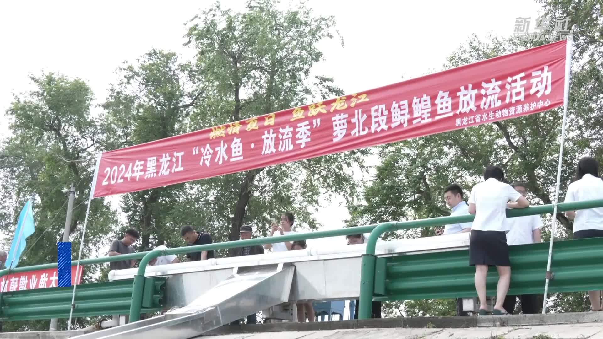 黑龙江萝北：开展增殖放流活动
