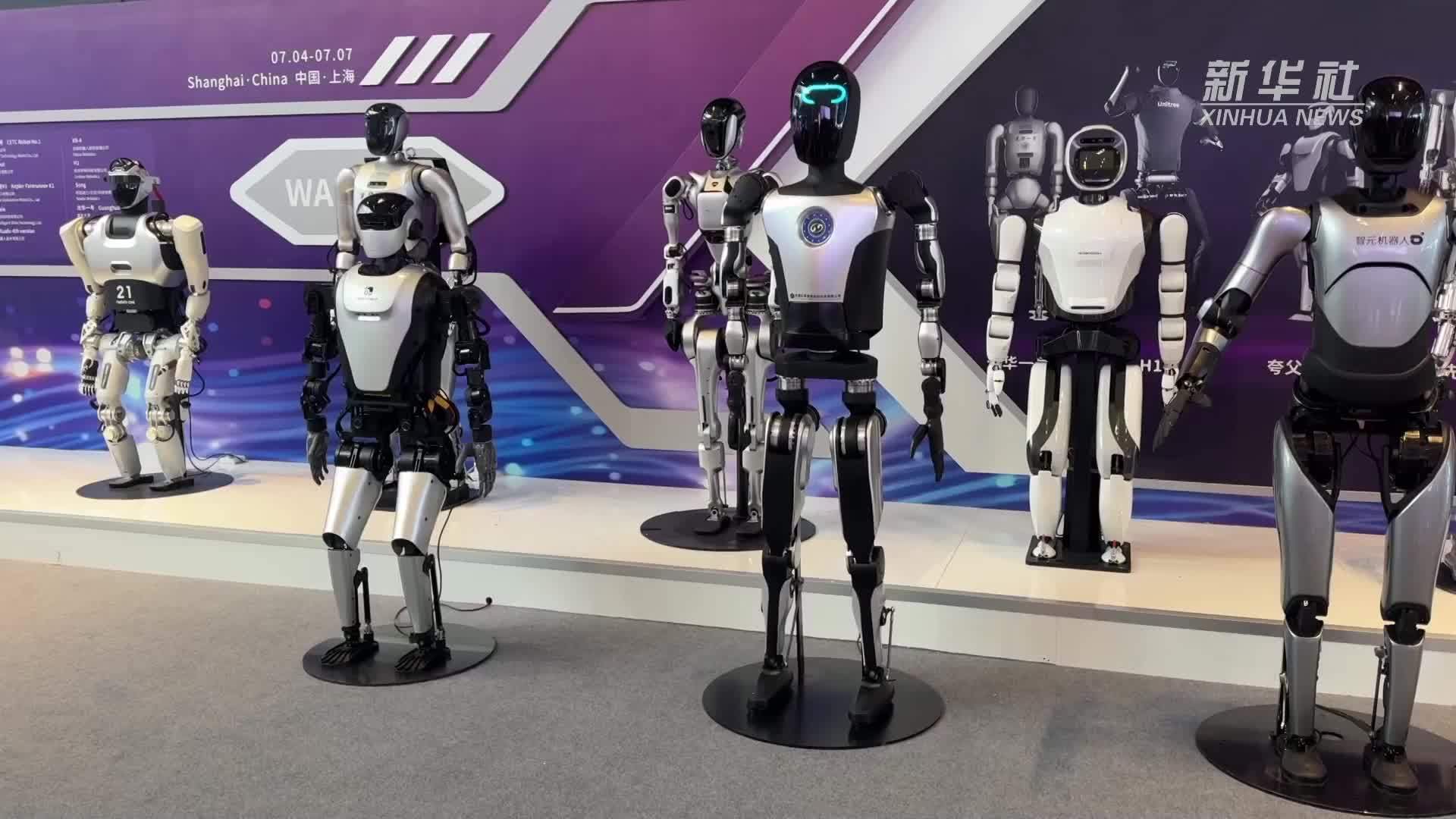 触摸AI发展新脉动——2024世界人工智能大会观察