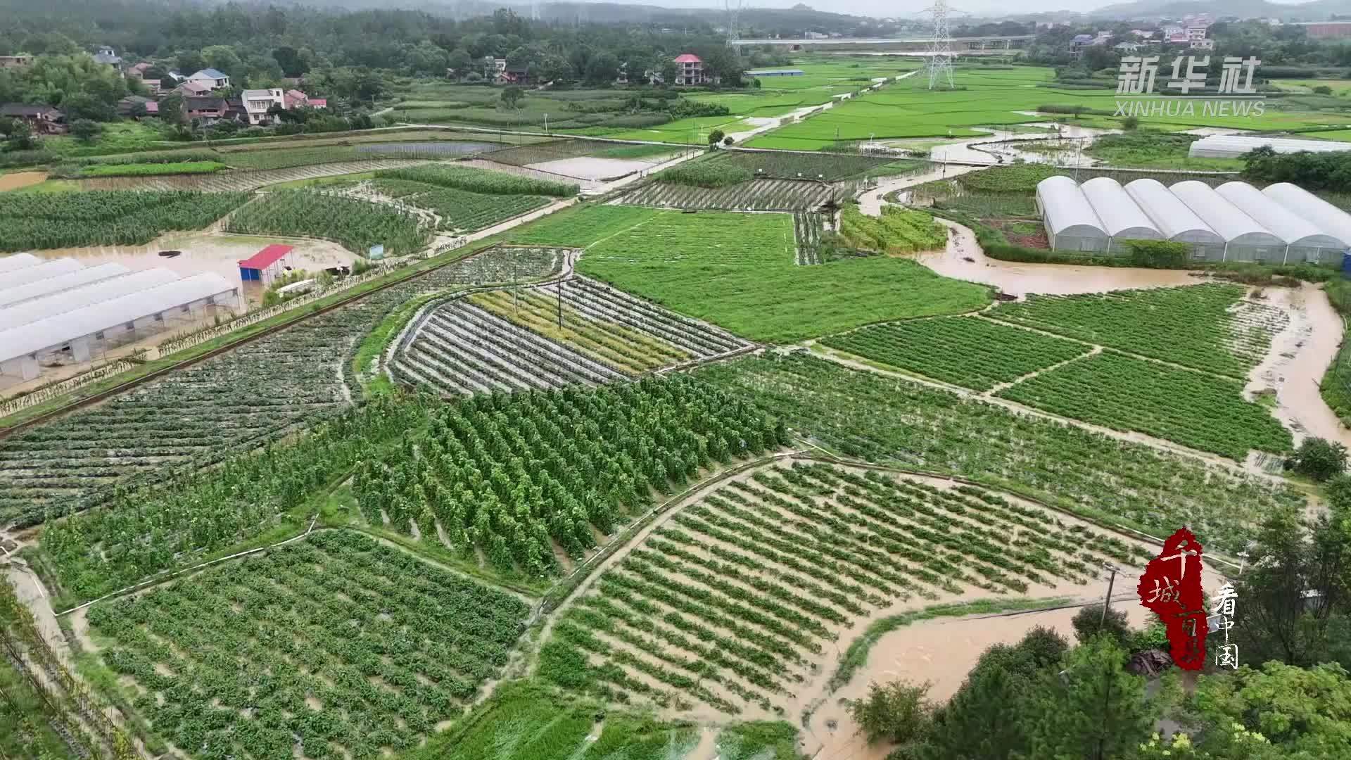 千城百县看中国｜湖南冷水滩：有序恢复农业生产 减少灾害损失
