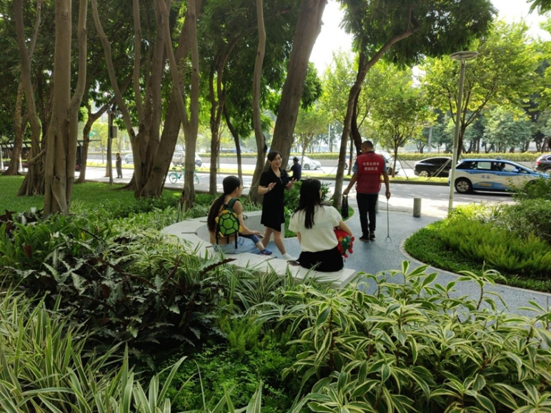 （南园街道：滨河绿美绿廊）