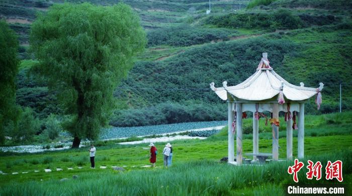 7月2日，紧邻国度4A级旅游景区“陇右名山”怡悦山的墟落——兰州市榆中县新营镇八门寺村，障碍上前的溪水涓涓流淌，绿树成荫、草木广大，一顶帐篷，一张餐桌，三五好友……随地可见来这里露营乘凉的游东说念主，徘徊在这片“绿野仙踪”里，安酣畅逸、心旷神怡。张文　摄