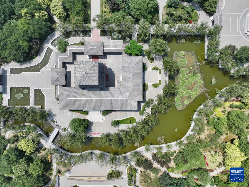 河北省河间市诗经公园景色（6月28日摄，无人机照片）。