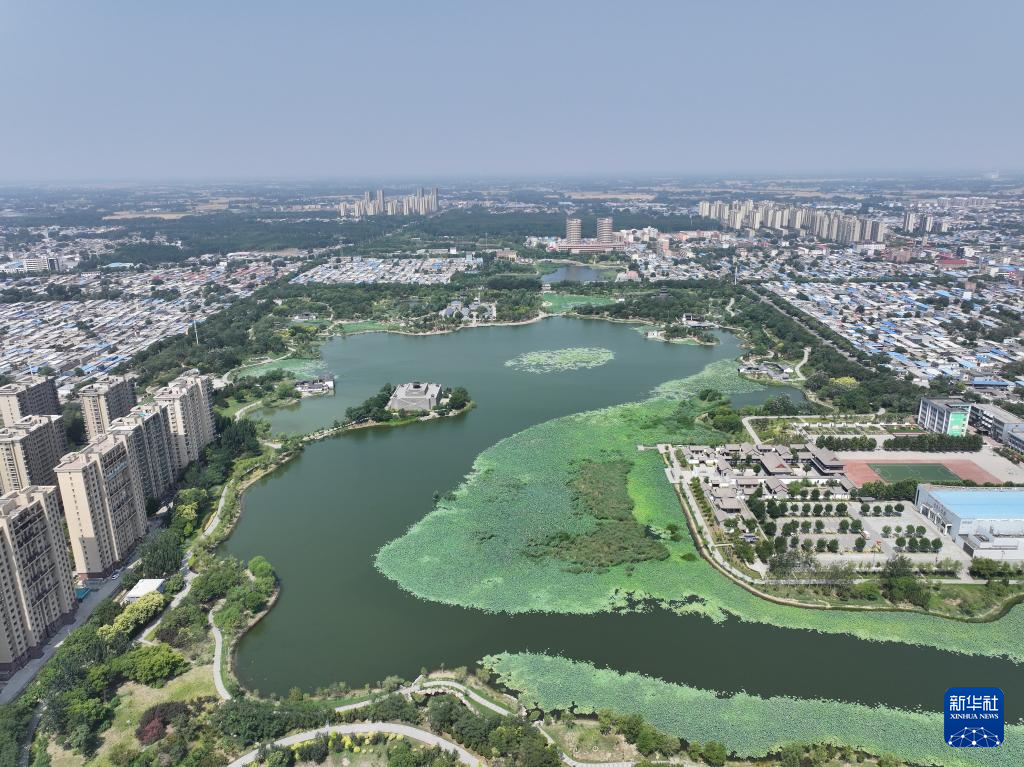 河北省河间市瀛洲公园景色（6月28日摄，无人机照片）。