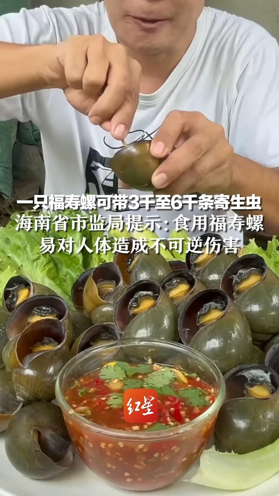 一只福寿螺可带3千至6千条寄生虫，海南省市监局提示：食用福寿螺易对人体造成不可逆伤害