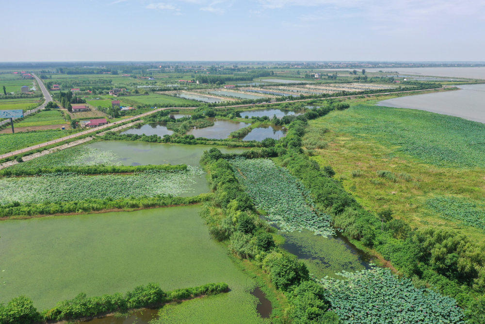这是在湖南省益阳市大通湖区河坝镇拍摄的由中国科学院设计的大通湖流域农业面源污水末端强化处理设施（2023年7月10日摄，无人机照片）。大通湖地处洞庭湖腹地，被称作“洞庭之心”。新华社记者 薛宇舸 摄