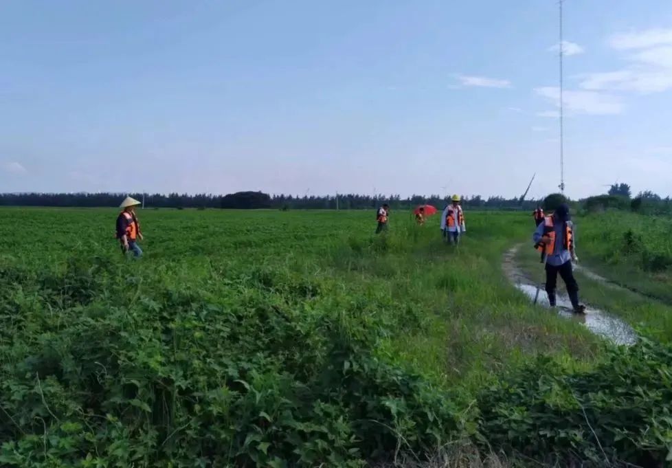 防汛人员在村中巡视,晴天并不意味着万无一失,上游的汛情随时可以影响江洲镇的水位