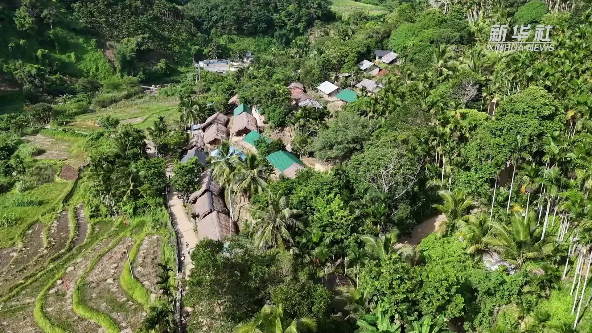 文化中国行｜修缮黎族传统民居 守护历史记忆