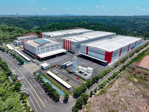 ▲潼南区雪王农业（重庆）有限公司，众多冷链车在此准备运送新鲜柠檬。记者 郑宇 摄