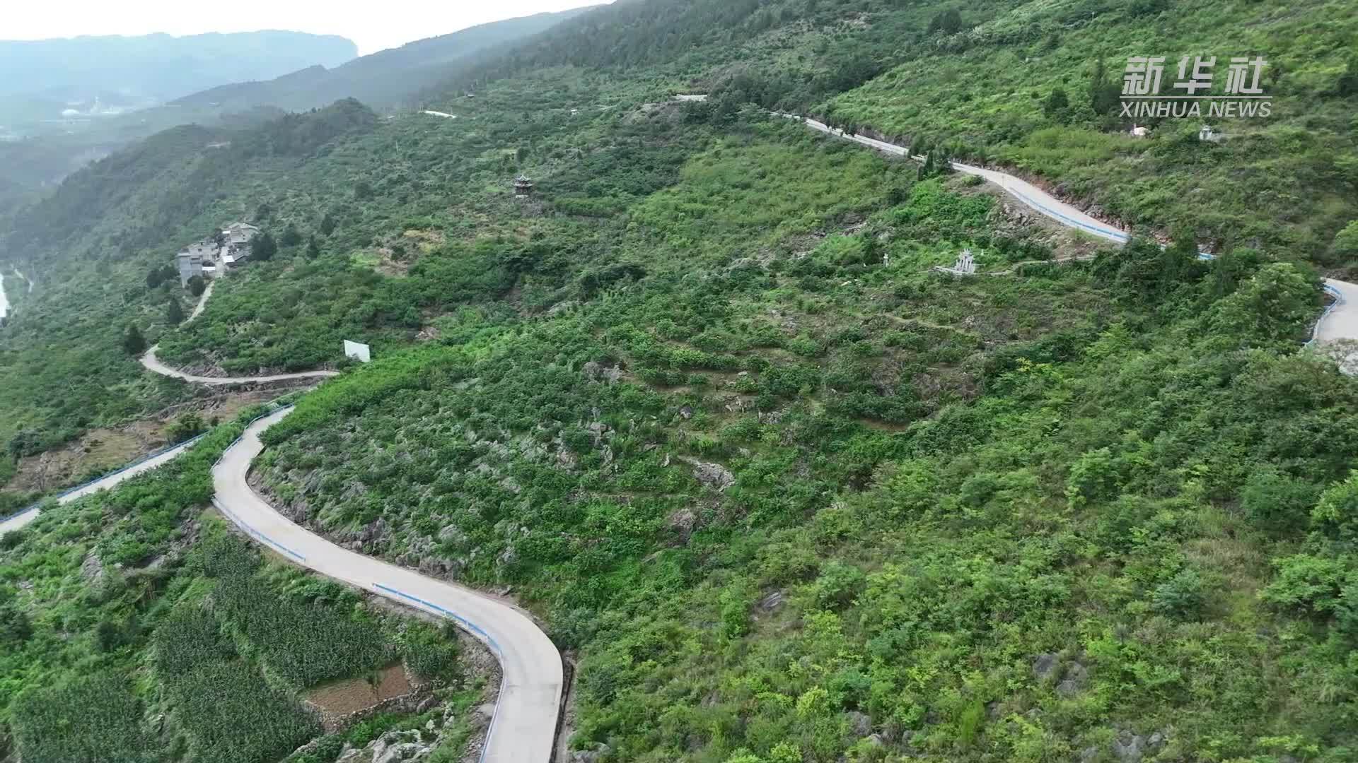 贵州印江：桃李瓜果香满园 石山增绿群众增收