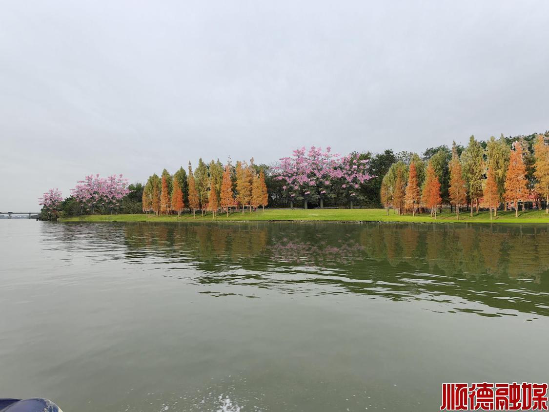 顺风岛沿江效果图。