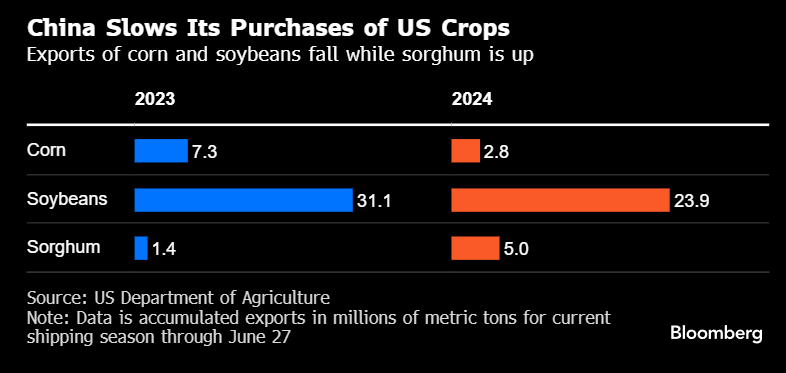 外媒：中國(guó)簽下年度首筆美國(guó)大豆訂單，首筆比去年晚了約七個(gè)月