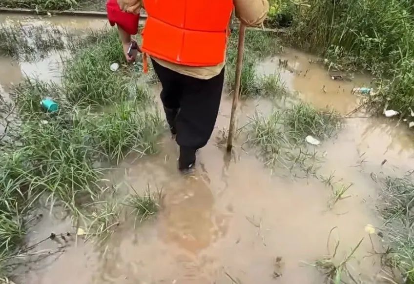 江洲镇26年来第三封"防汛家书"发出 "98洪水"抗灾人重返堤上