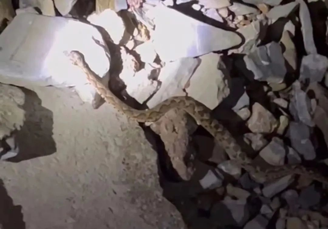 江洲镇26年来第三封“防汛家书”发出 “98洪水”抗灾人重返堤上