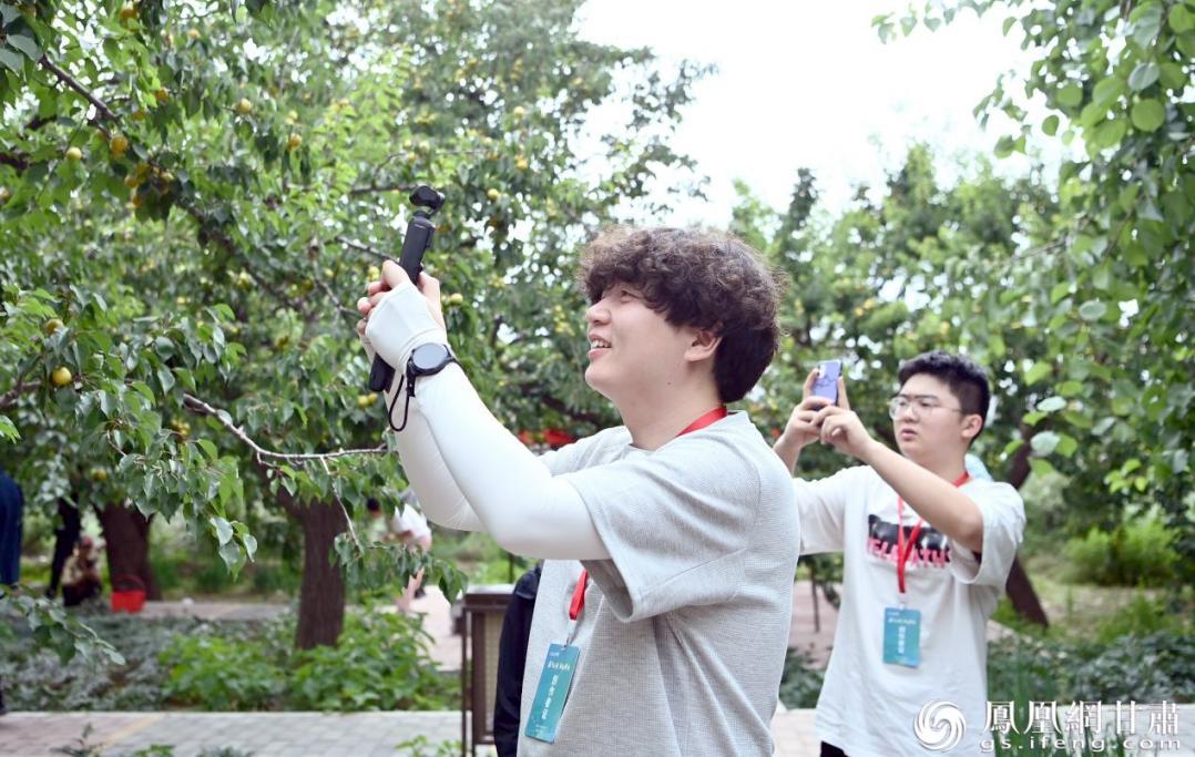 网络达人用镜头聚焦“杏”福　甘肃省文旅厅供图