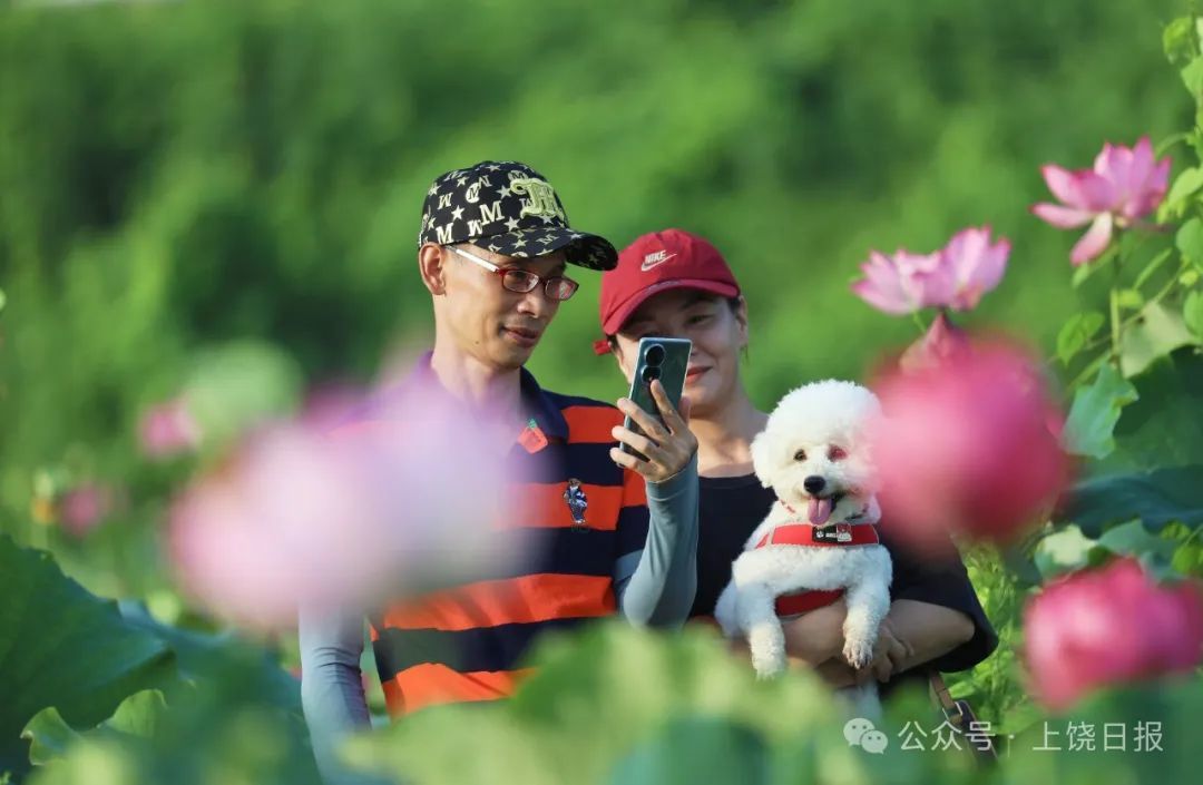 市民赏花留影。马永发 摄