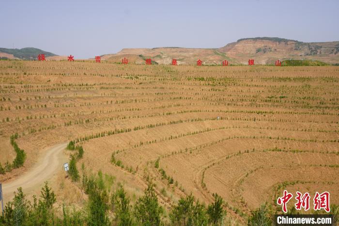 三门峡市陕州区焦家铝矿治理区旧貌换新颜。韩章云 摄