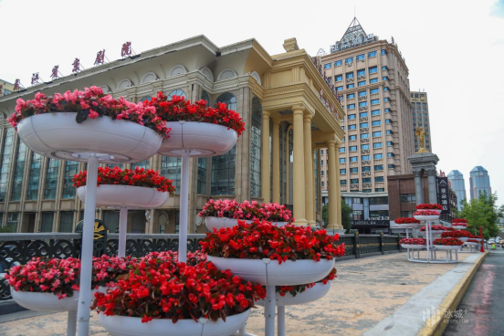 美美哒~冰城立体"彩妆"扮靓"城市客厅"凤凰网黑龙江_凤凰网