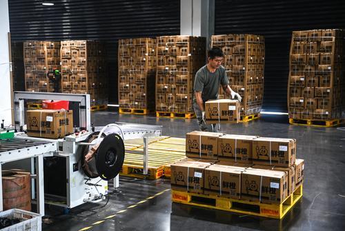 ▲潼南区雪王农业（重庆）有限公司，工人们正在分拣打包好的鲜果，准备发向全国。记者 郑宇 摄