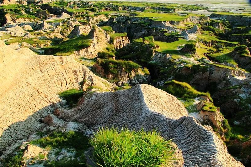 松原乾安泥林风光。凤凰网吉林资料图片