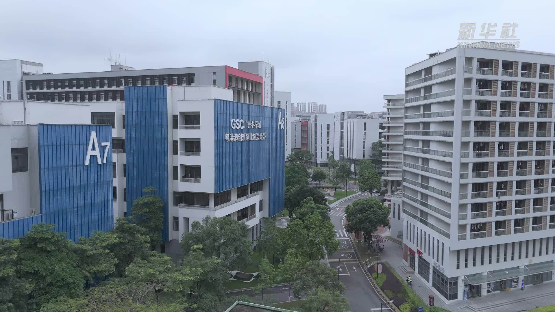 深化改革开放｜广东广州：创新打造转供电“三统一”模式