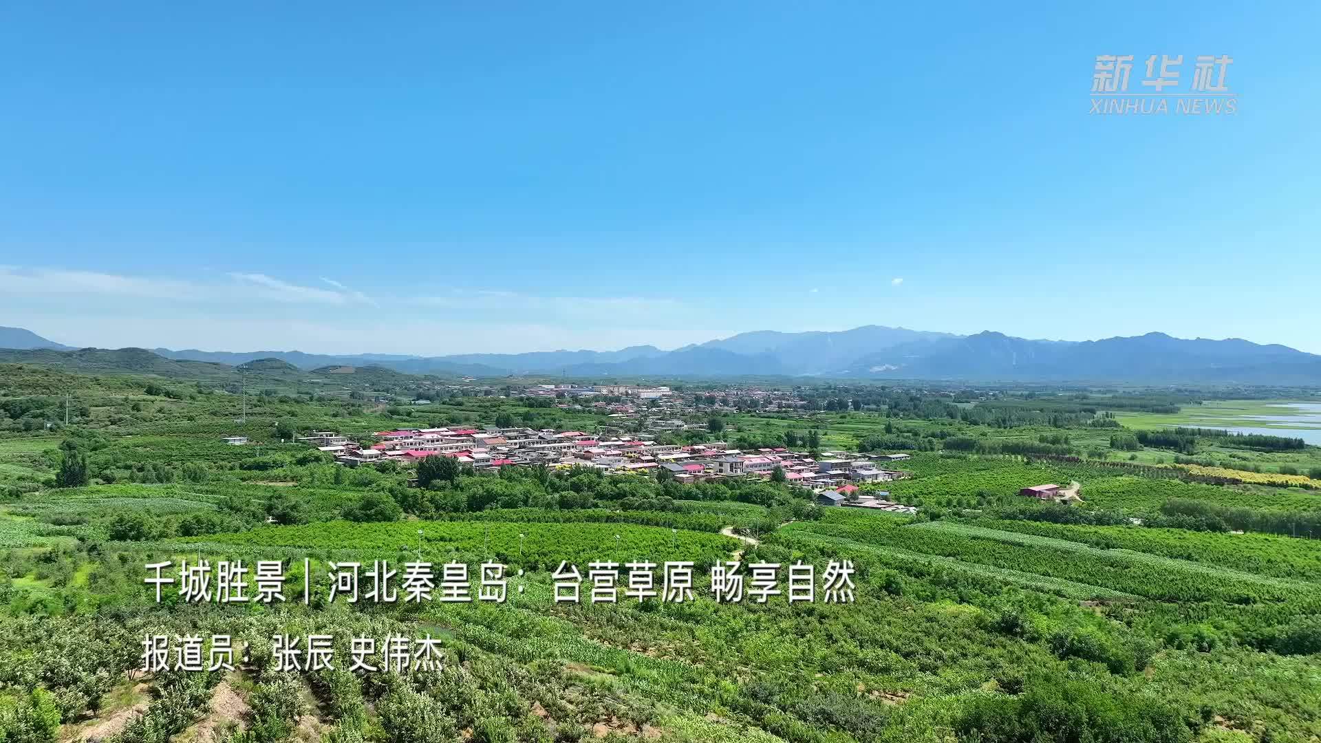 千城胜景｜河北秦皇岛：台营草原 畅享自然