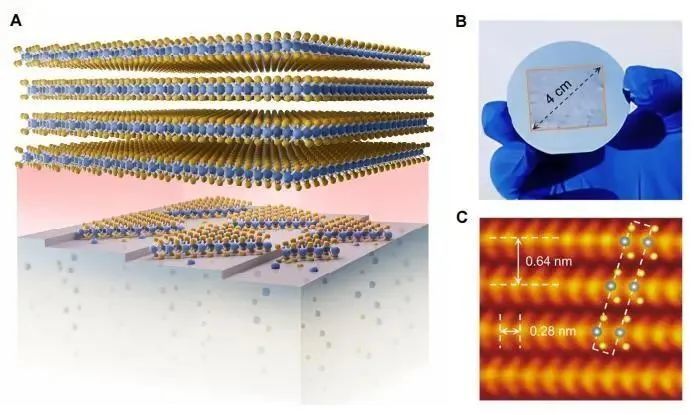 图为用“晶格传质-界面生长”新方法制备晶圆级二维晶体。受访者供图