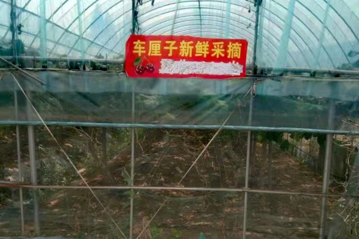 田歌家庭农场新鲜采摘园成为众多游客的打卡点。