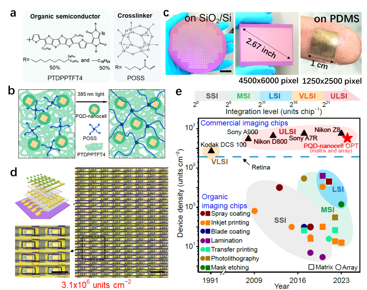     ▲ （a）光刻胶组成；（b）光刻胶聚集态结构；（c）在不同衬底上加工的有机晶体管阵列；（d）有机晶体管阵列结构示意图；（e）与其他方法的像素密度对比