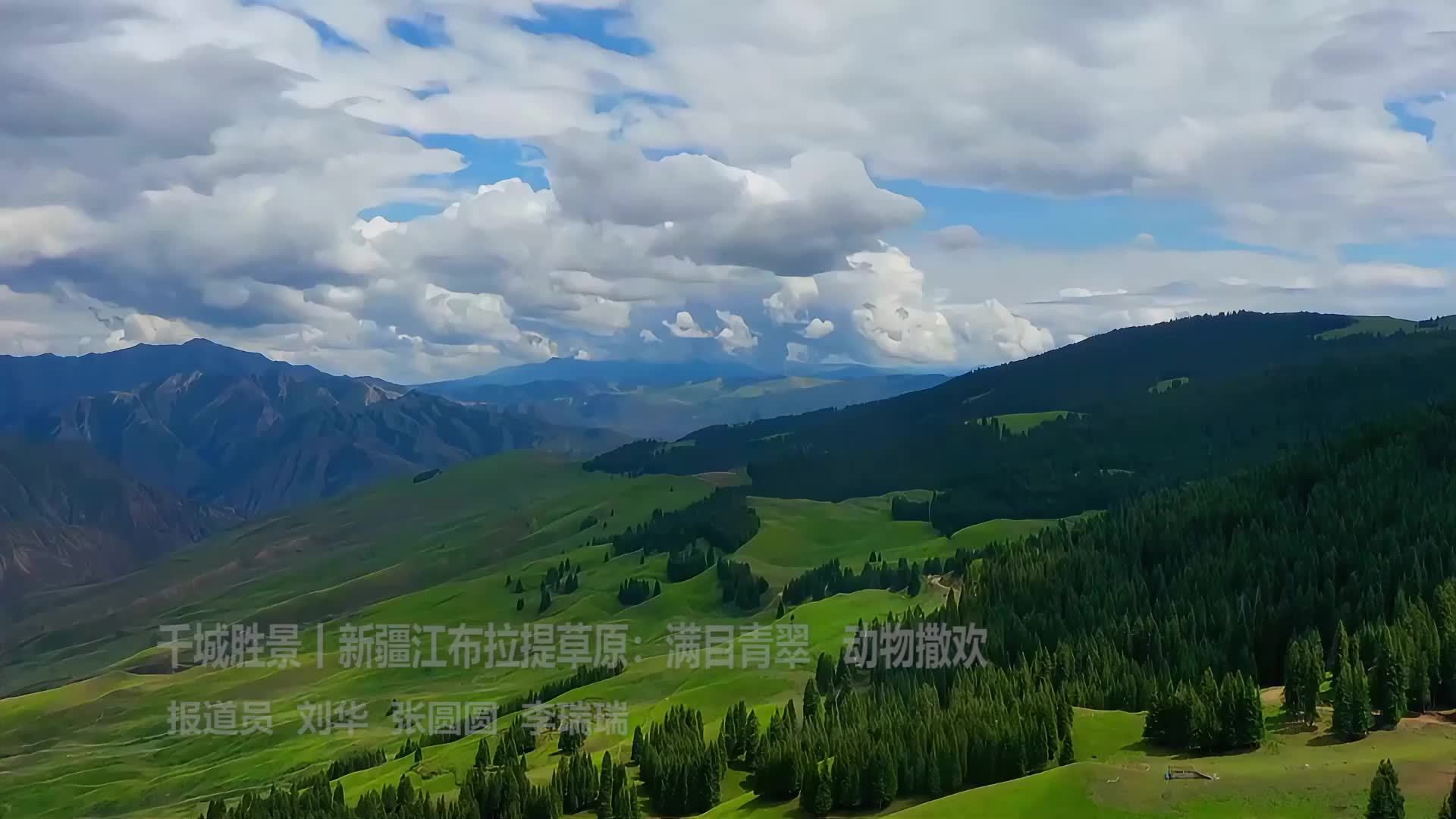 千城胜景｜新疆江布拉提草原：满目青翠 动物撒欢