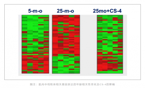 点击查看原始图片