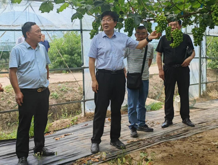 6月17日，如皋市老科协会长严世斌（左二）带领会员在田歌家庭农场调研。