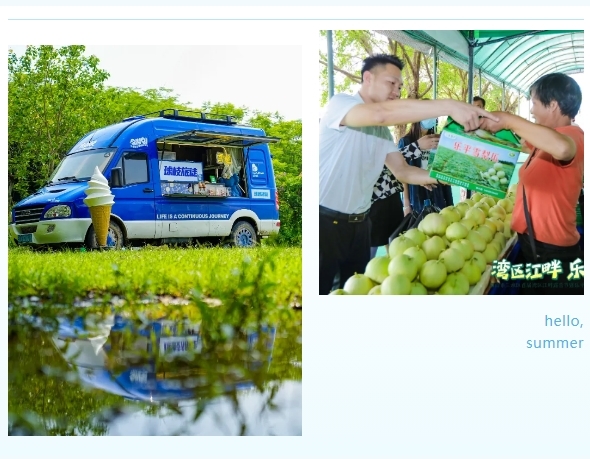 浪漫音乐会、美食集市……7月19日正式开幕，来三水乐平开启盛夏狂欢，精彩内容抢先看→