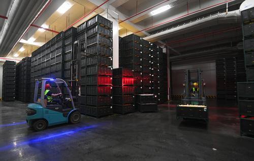 ▲潼南区雪王农业（重庆）有限公司，工人们正在冷库搬运鲜果。记者 郑宇 摄