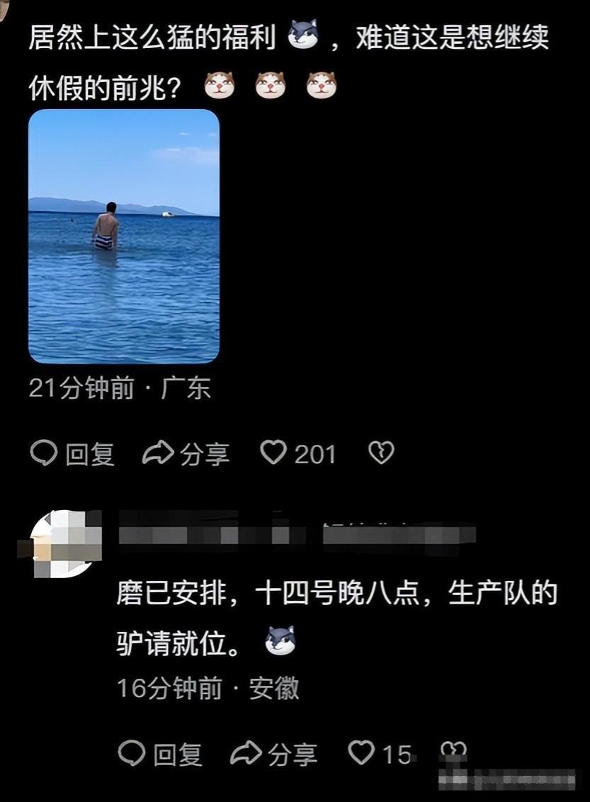 笑喷，董宇辉在海边不穿上衣更新视频火了，我却笑晕在评论区