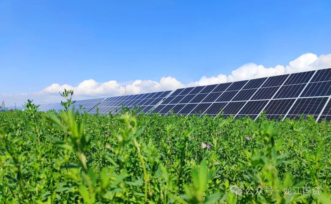 龙煤鸡西公司张新工业广场光伏发电项目 摄影 于海