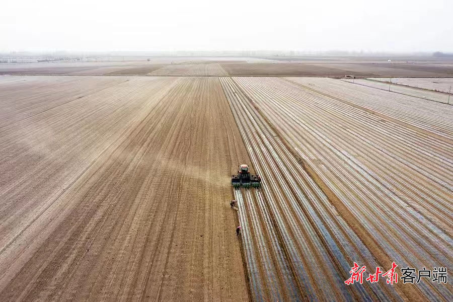 高标准农田在省工、省力、提单产、增收入方面效益明显