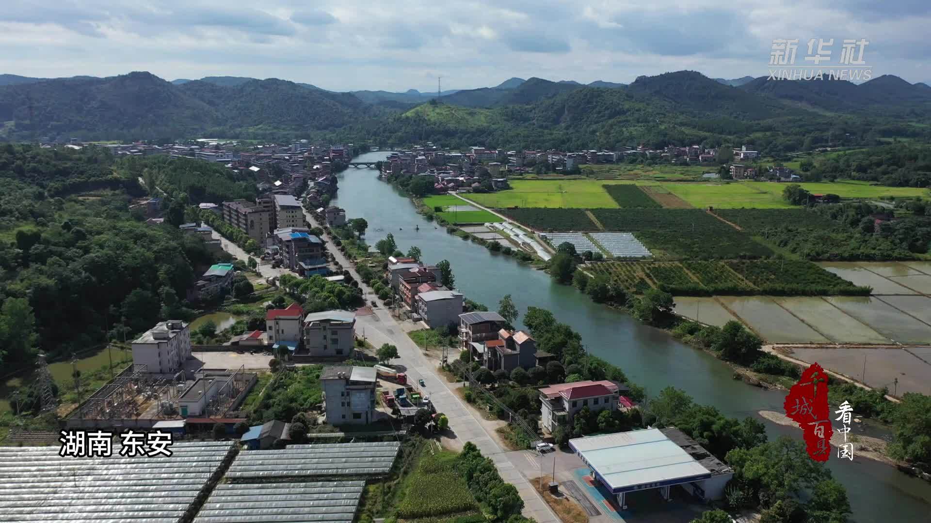 千城百县看中国｜湖南东安：缤纷水果季 夏日果飘香