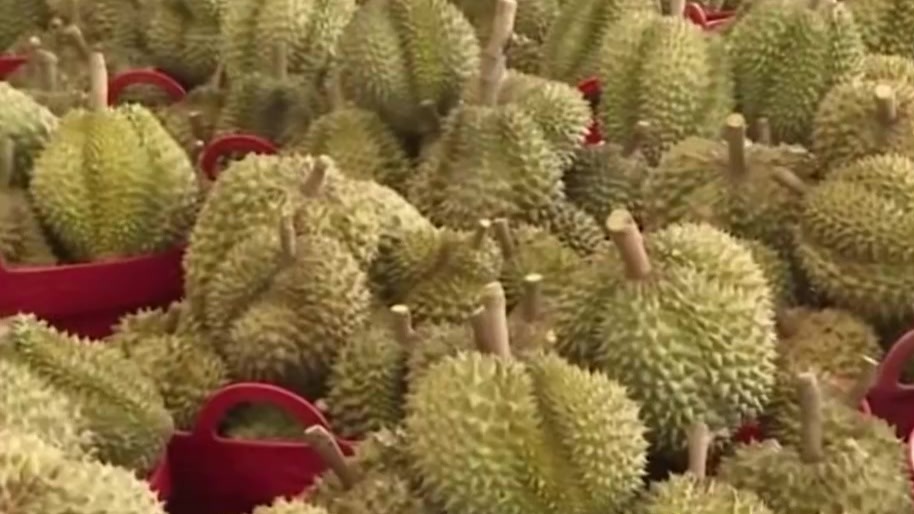 越南媒体：中国对榴莲需求飙升，泰国种植户成百万富翁
