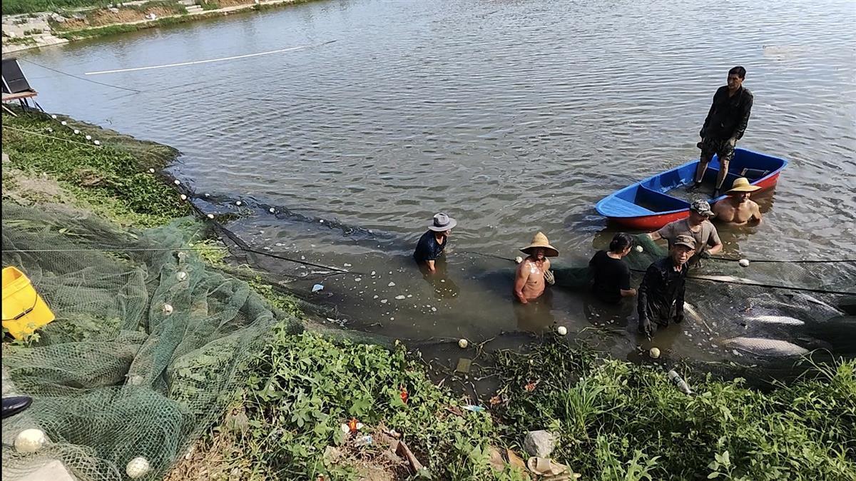 现场打捞涉案“标鱼”