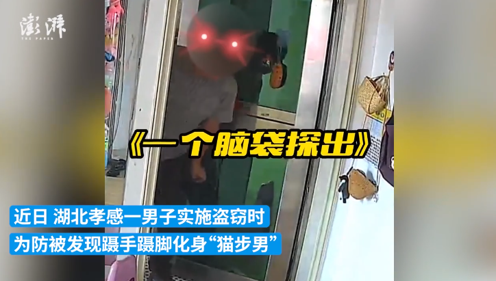 男子盗窃时蹑手蹑脚走“猫步” 被摄像头“全程直播”