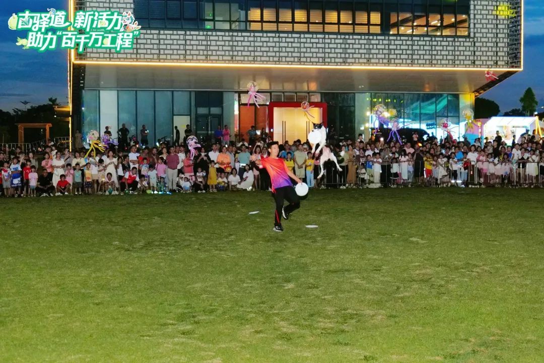 宠物花式表演