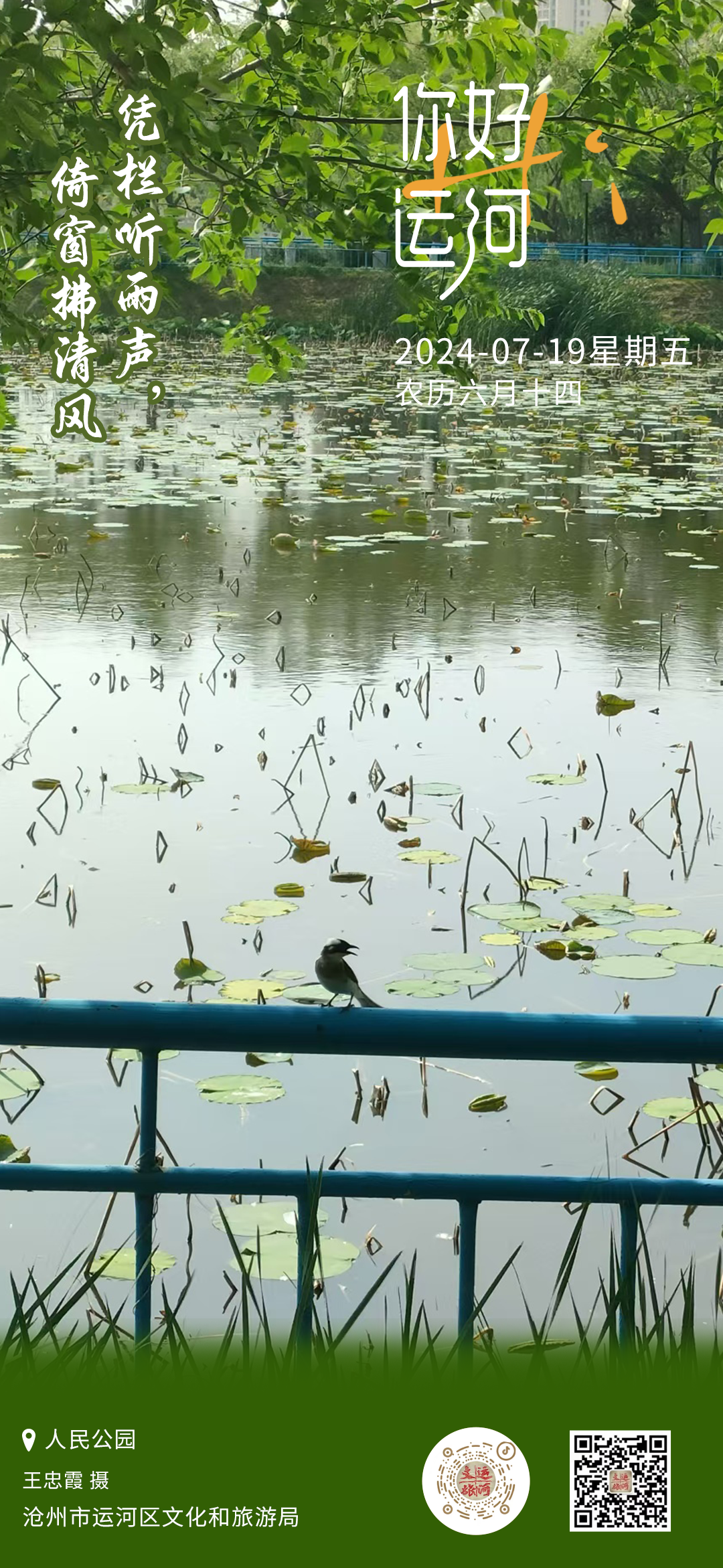 你好，运河（293）：凭栏听雨