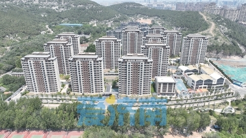 市中区以征迁“加速度”助力城市更新“大起势”。